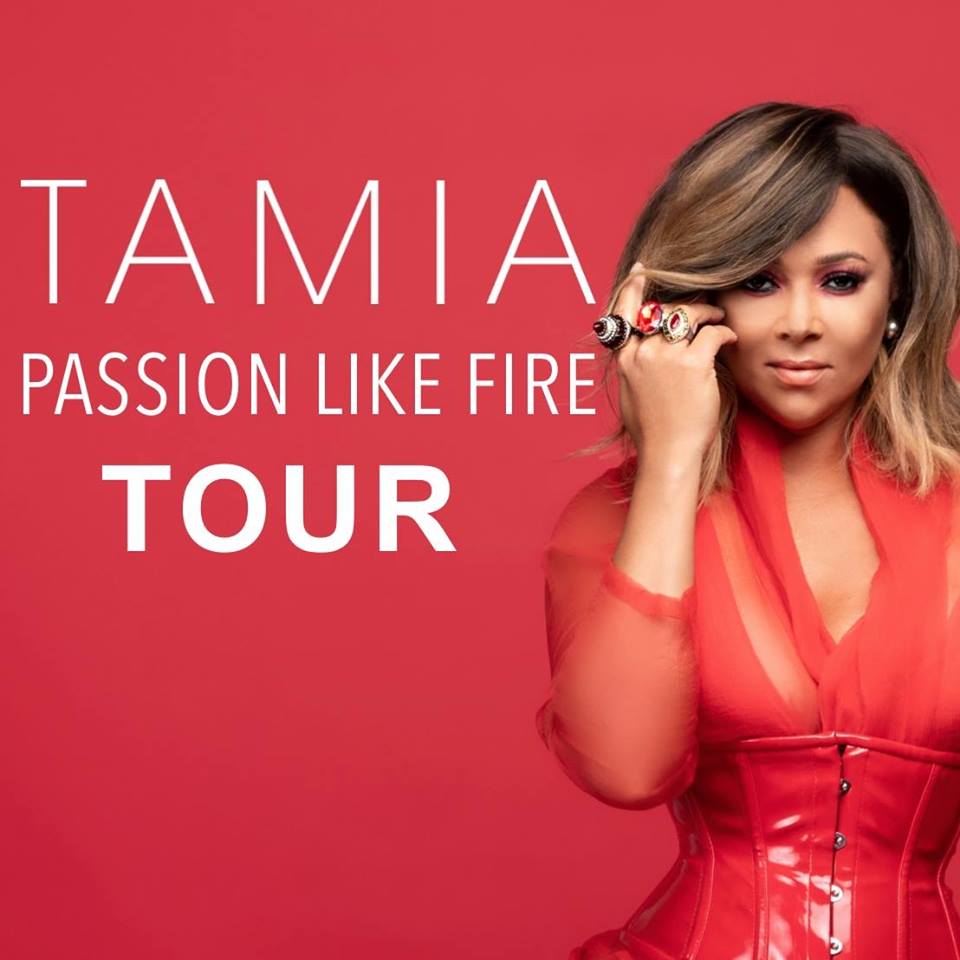 Tamia Beautiful Surprise Album